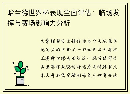 哈兰德世界杯表现全面评估：临场发挥与赛场影响力分析